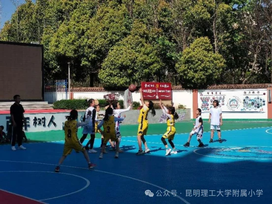 篮球周期训练计划内容有哪些_0